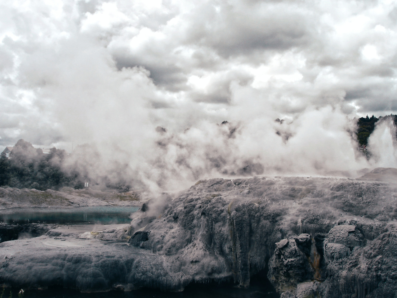 rotorua te puia 03 - minuir.jpg