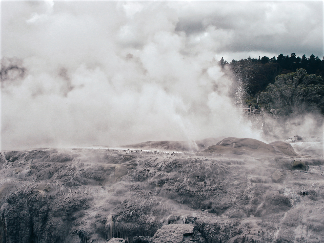 rotorua te puia 04 - minuir.jpg