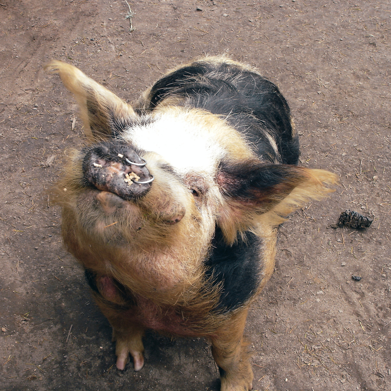 paradise valley springs 09 - minuir.jpg