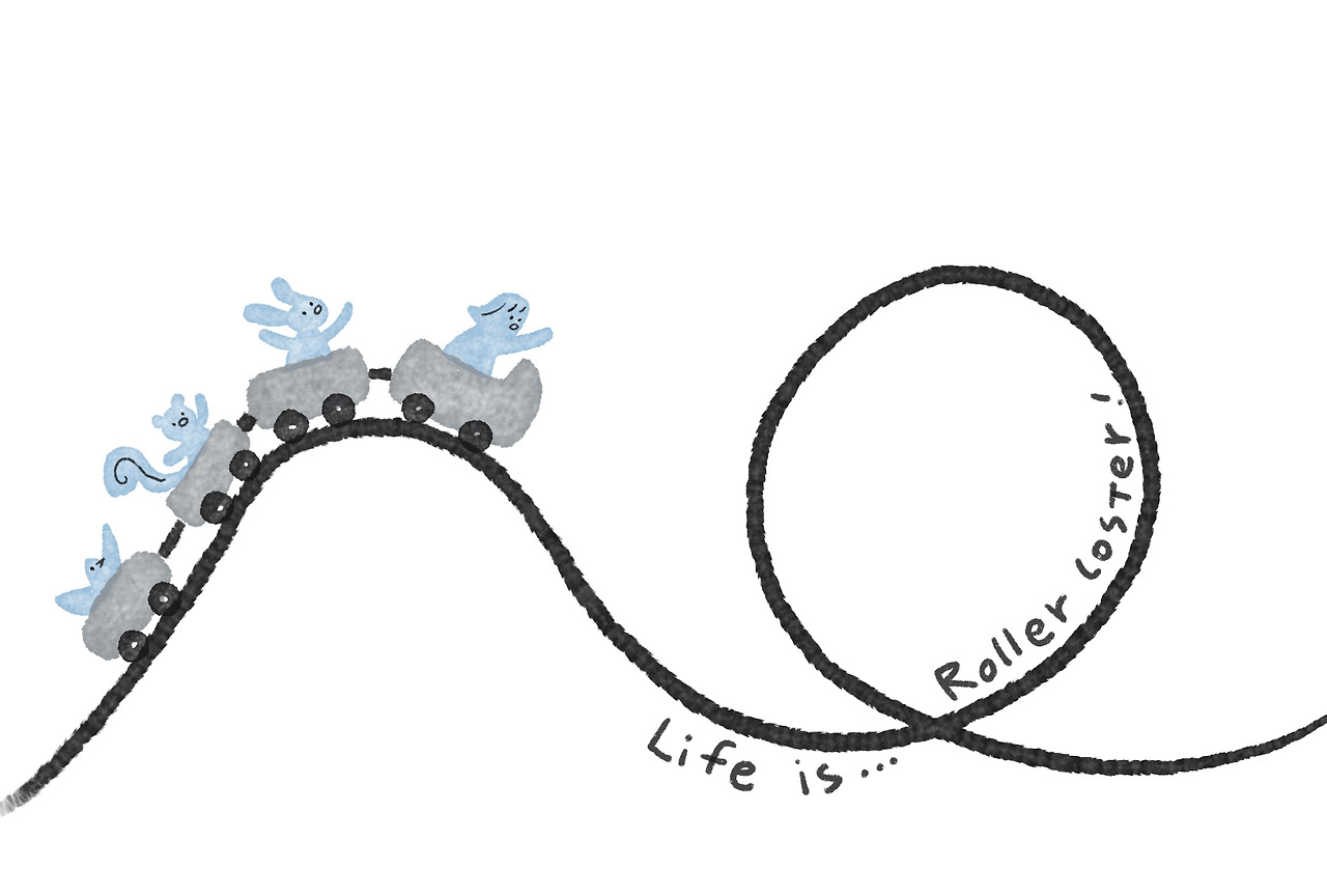 신나그림 life is roller coster.jpg