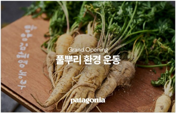 파타고니아-보도자료-파타고니아-‘풀뿌리-환경-운동’-온라인-커뮤니티-페이지-오픈-2-696x448.jpg