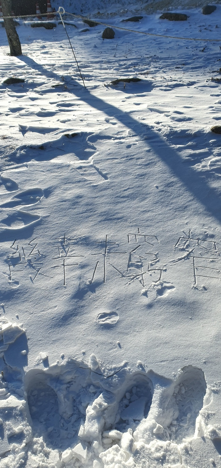 대관령 눈밭.jpg