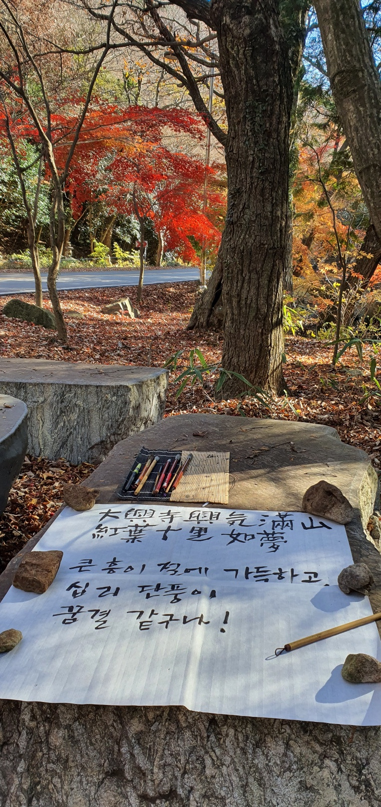 대흥사 단풍 7.jpg