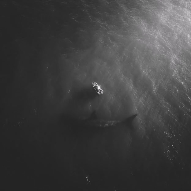 nagyao_An_aerial_bird_shot_angle_on_a_dark_vast_ocean._In_the_ea4d6ce7-1f7e-4a47-8c2f-4ec76d1bc0a7_0 (1).mp4_20251018_005500.582.jpg