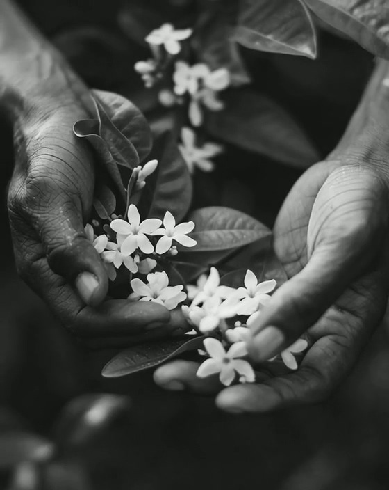 T (2).mp4_20250819_164346.254.jpg