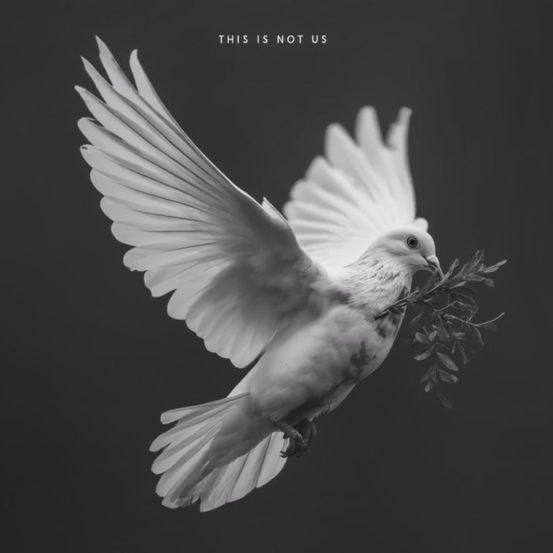 a (17) (1).mp4_20250914_062914.608.jpg