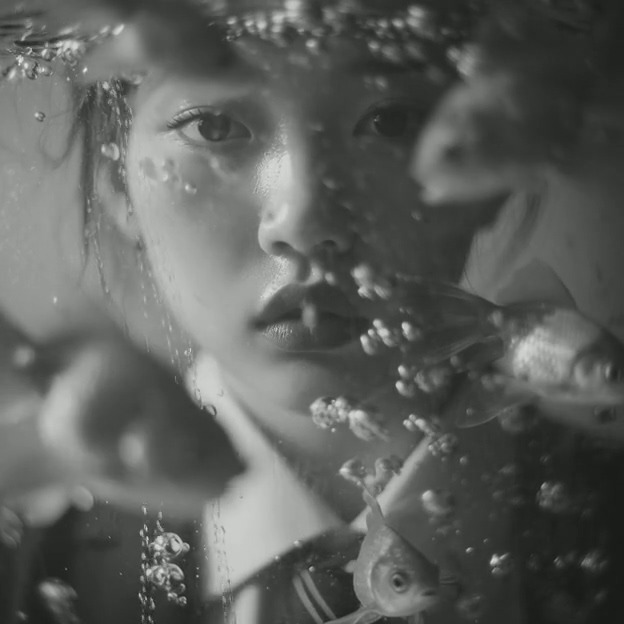 T (10).mp4_20250819_164355.332.jpg