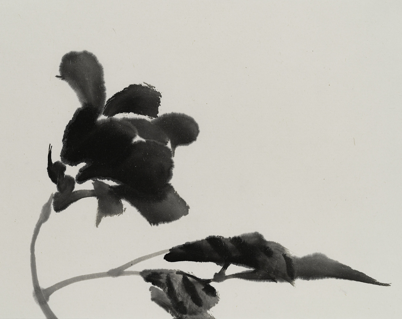 만개 찬란한 인고의 흔적 숨.jpg