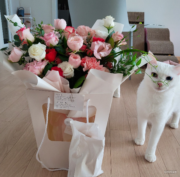 결혼기념일 꽃.jpg