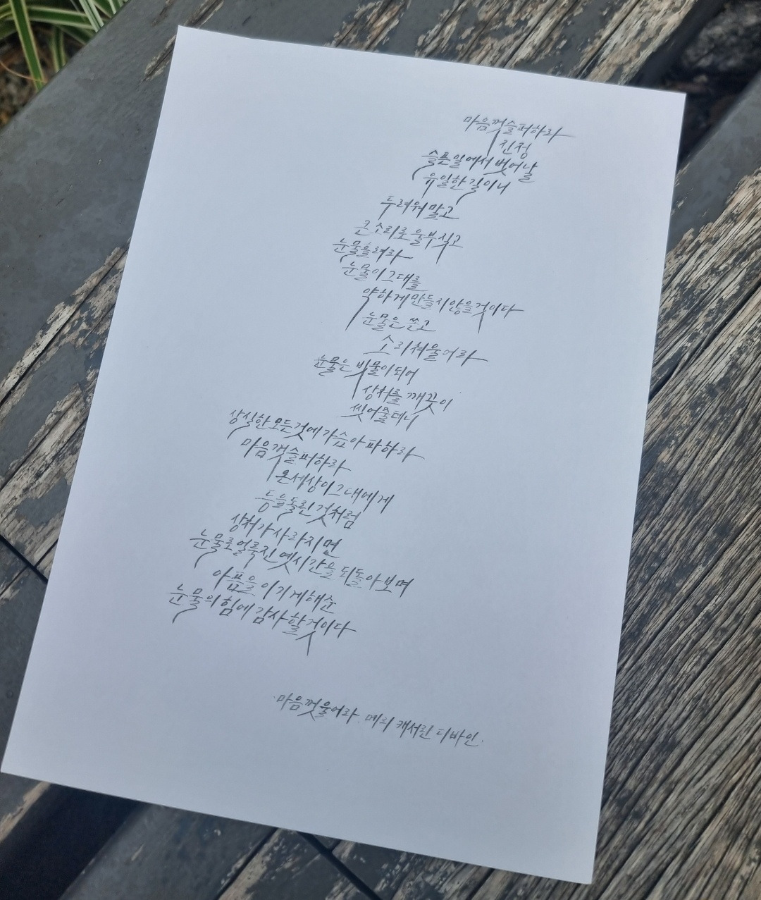 마음껏 울어라.jpg