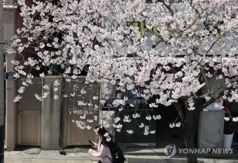 카지노 게임 추천
