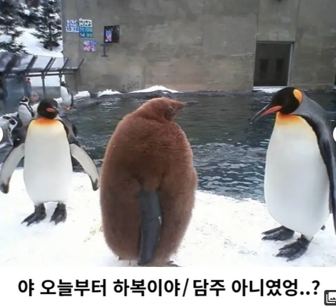 야 오늘부터 하복이야.jpg