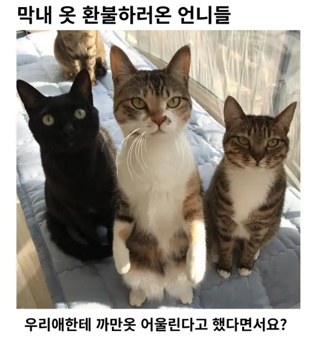 막내옷.jpg