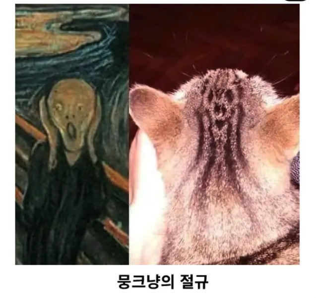 뭉크냥.jpg