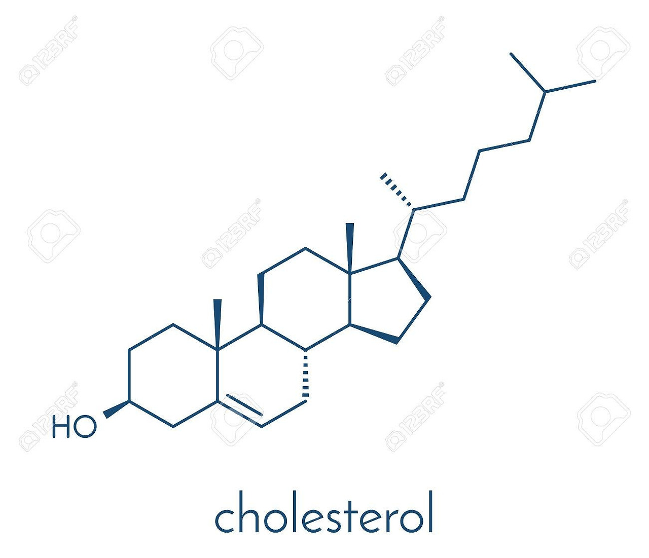 85870777-cholesterol-molecule-essential-component-of-cell-membranes-and-precursor-of-steroid-hormones-bile.jpg