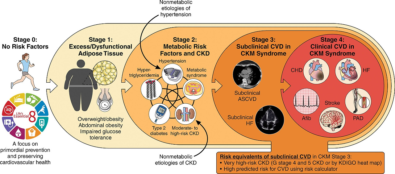 cARdiovascularkidneymetabolic.jpg