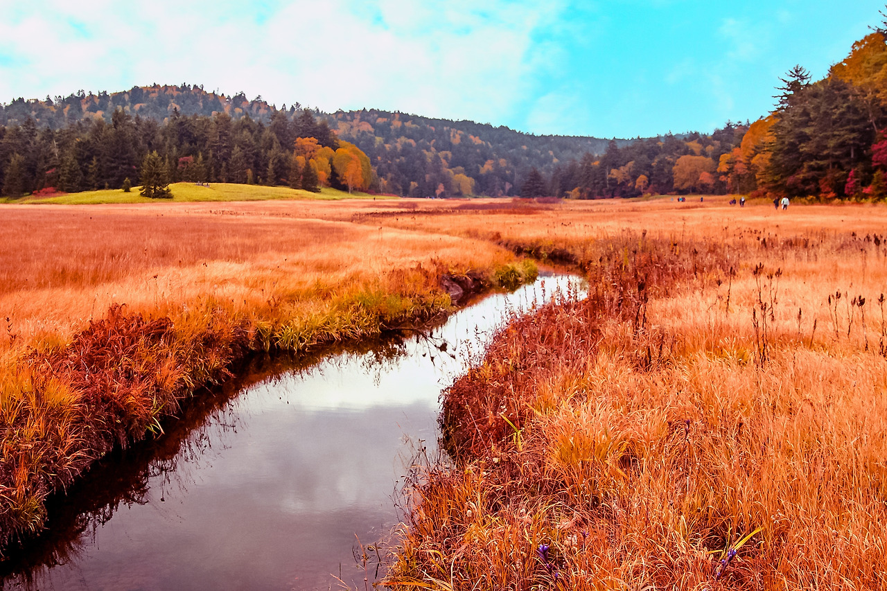 20151004 오제누마 247 copy.jpg