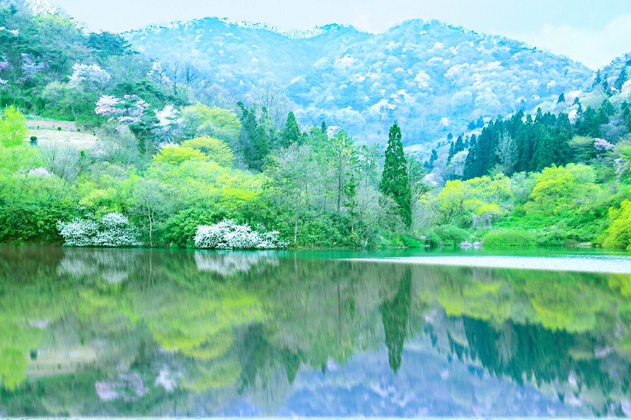 20160412 세량지 024.jpg