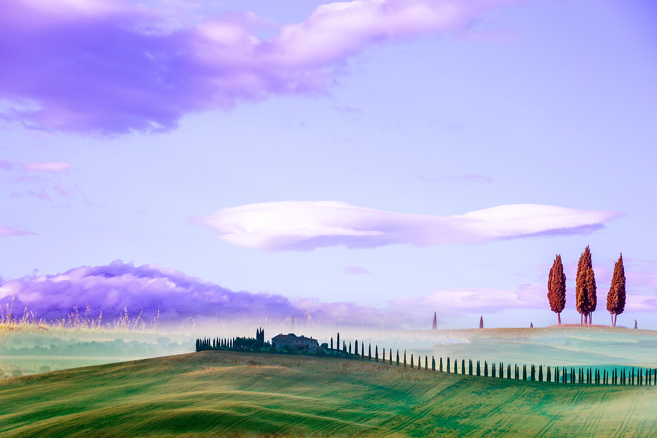 20170521 피엔자 144-1 copy.jpg