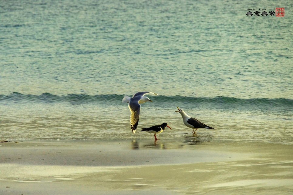 SE-09549c94-281f-43e7-9ebd-65dae65e58a6 (1).jpg