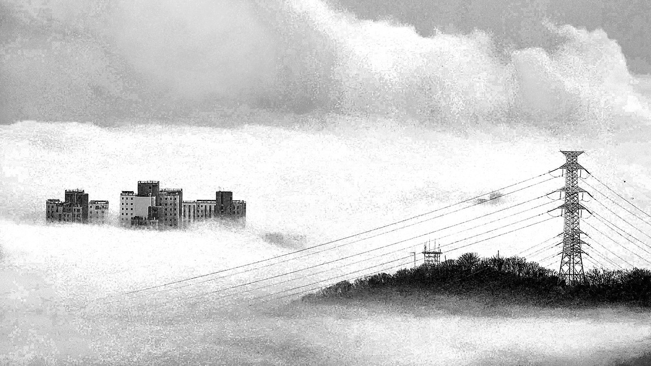 20250313_072708(0)-2 copy.jpg