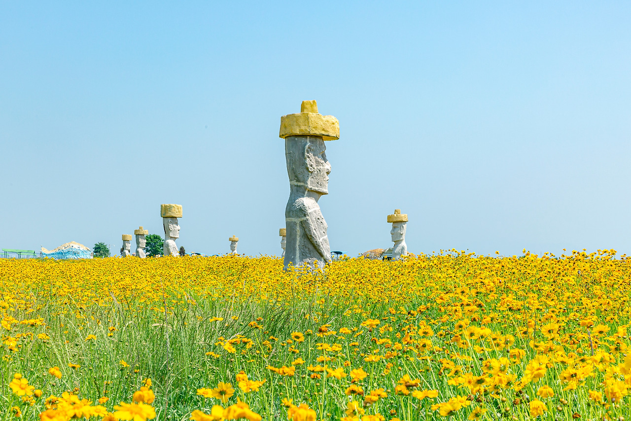 20200608 선유도 군산 079.jpg