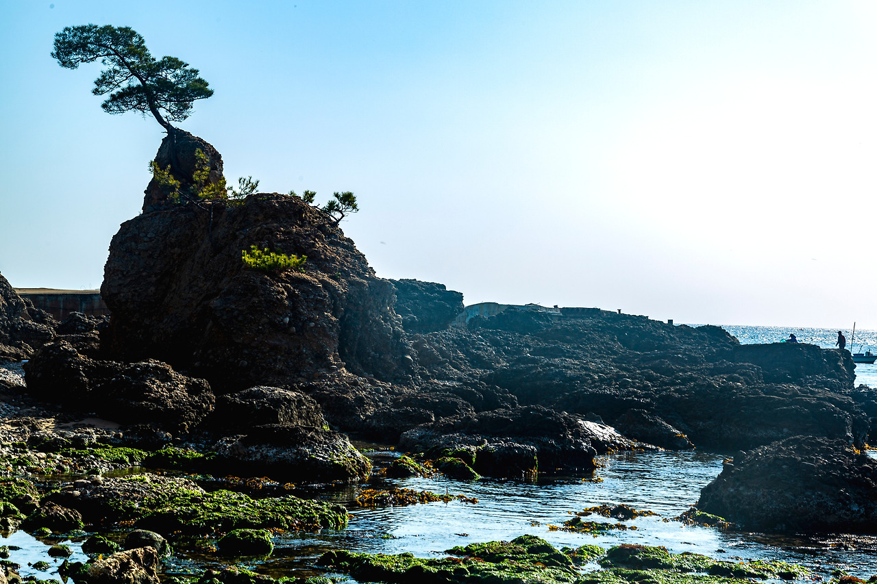 20210407 영덕 강구 283.jpg