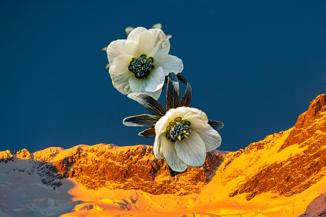 20170316 풍도 159-1 copy.jpg