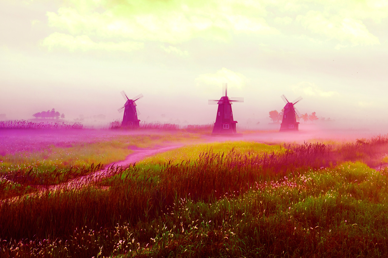 20160530 소래습지공원 035-Enhanced-NR-1 copy.jpg