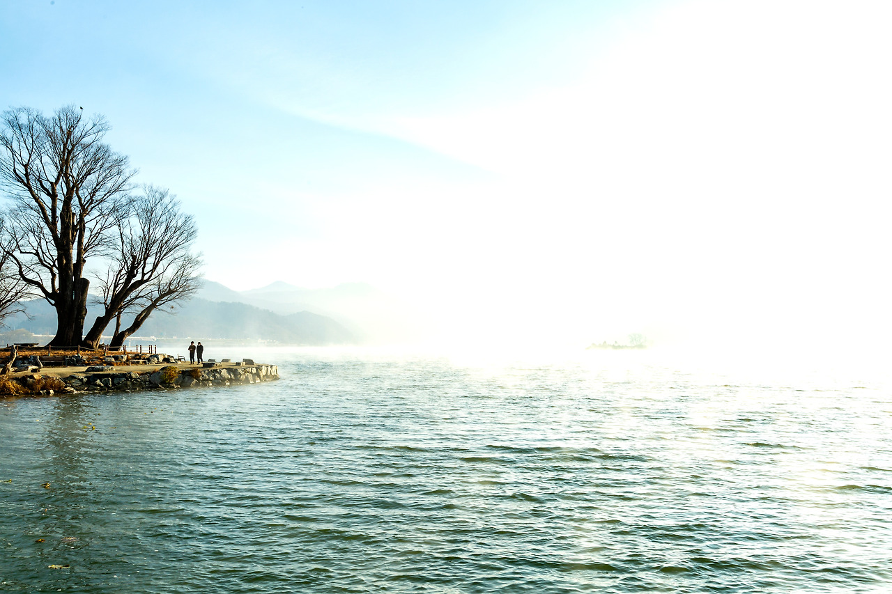 20201121 두물머리 남이섬 287.jpg