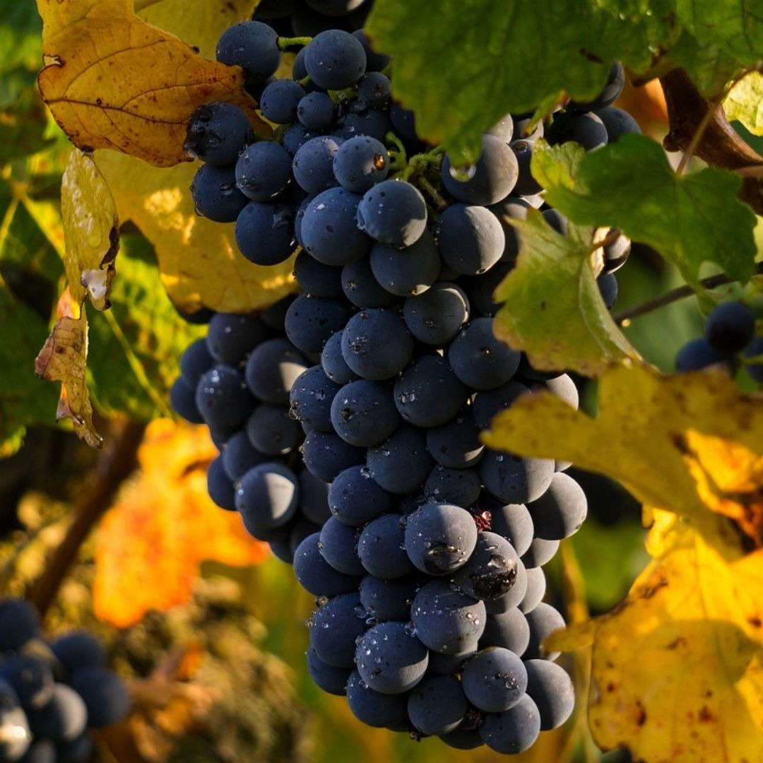 제목을 입력해주세요. (1).jpg