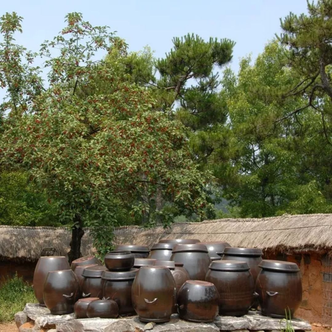 제목을 입력해주세요. (1).jpg