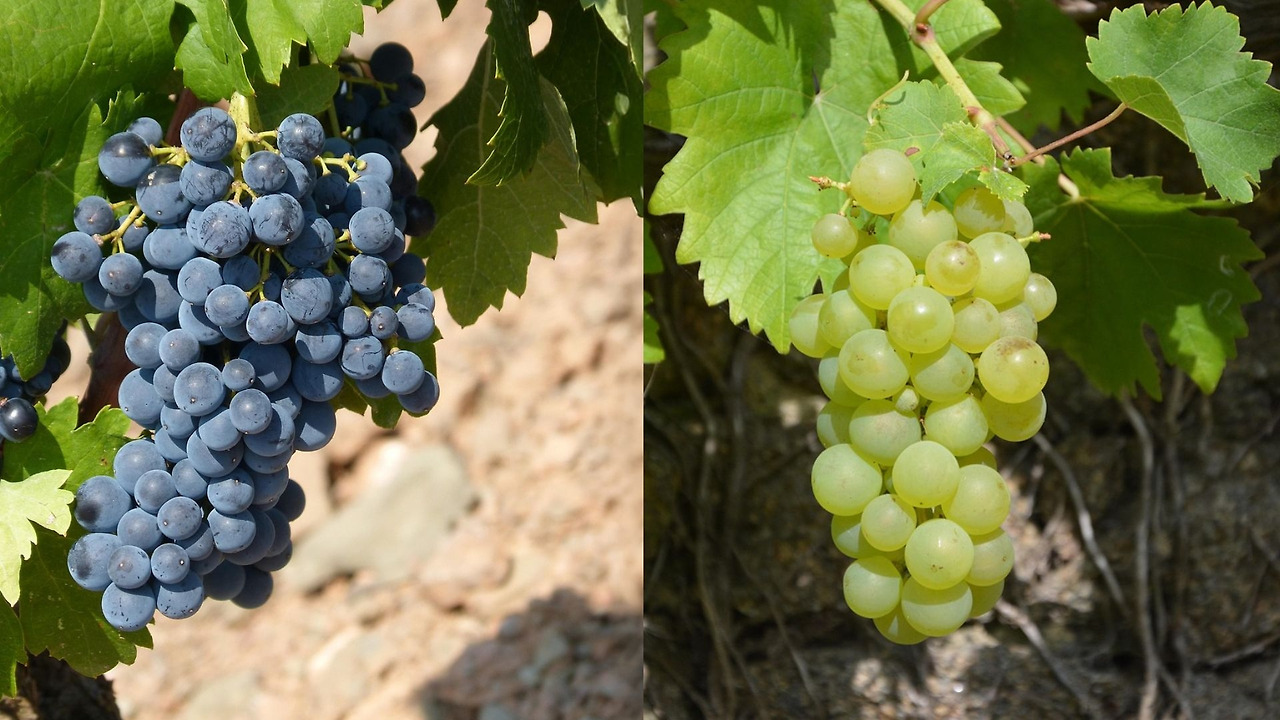 제목을 입력해주세요..jpg