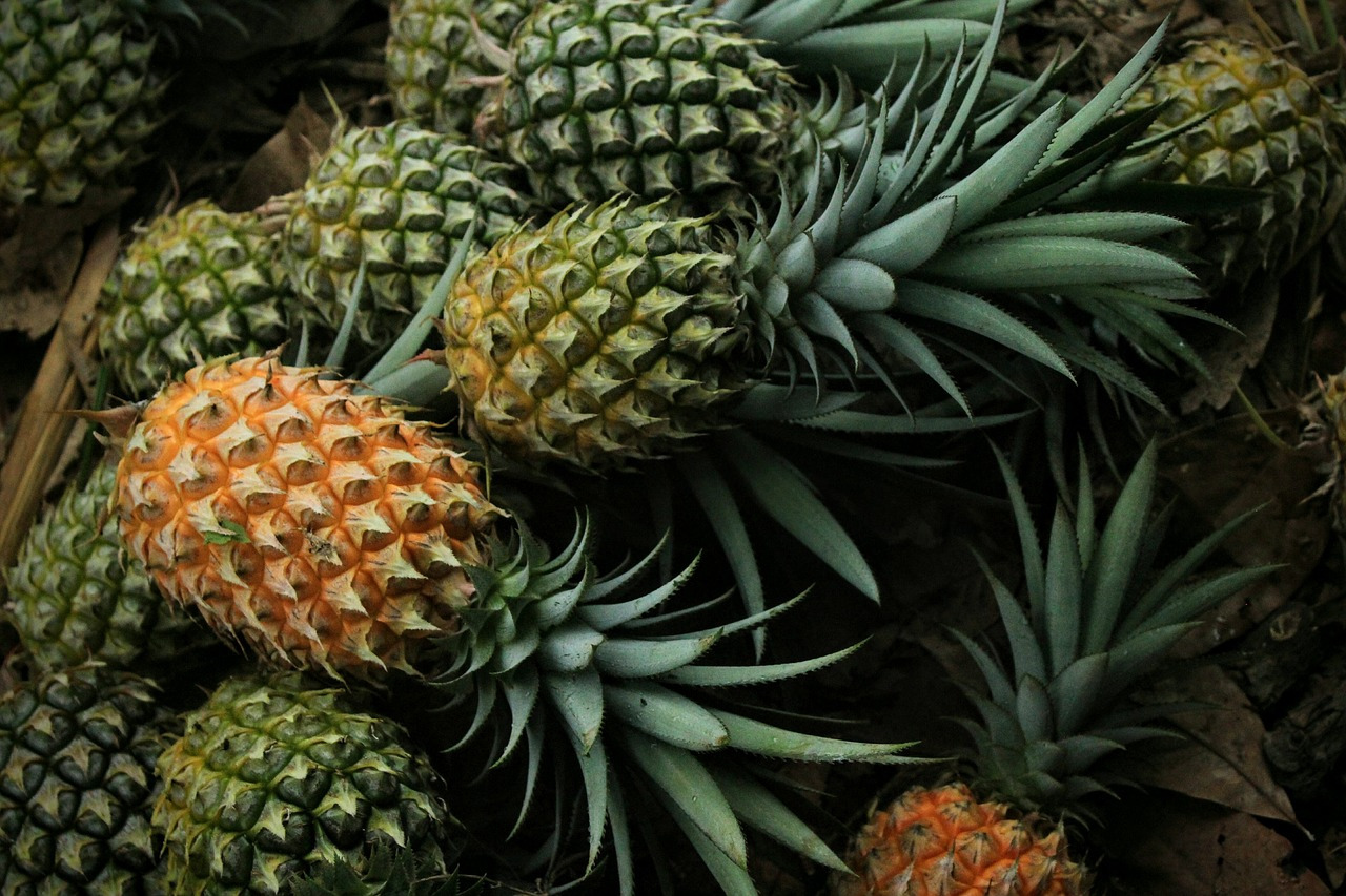 pineapple-3808963_1280.jpg