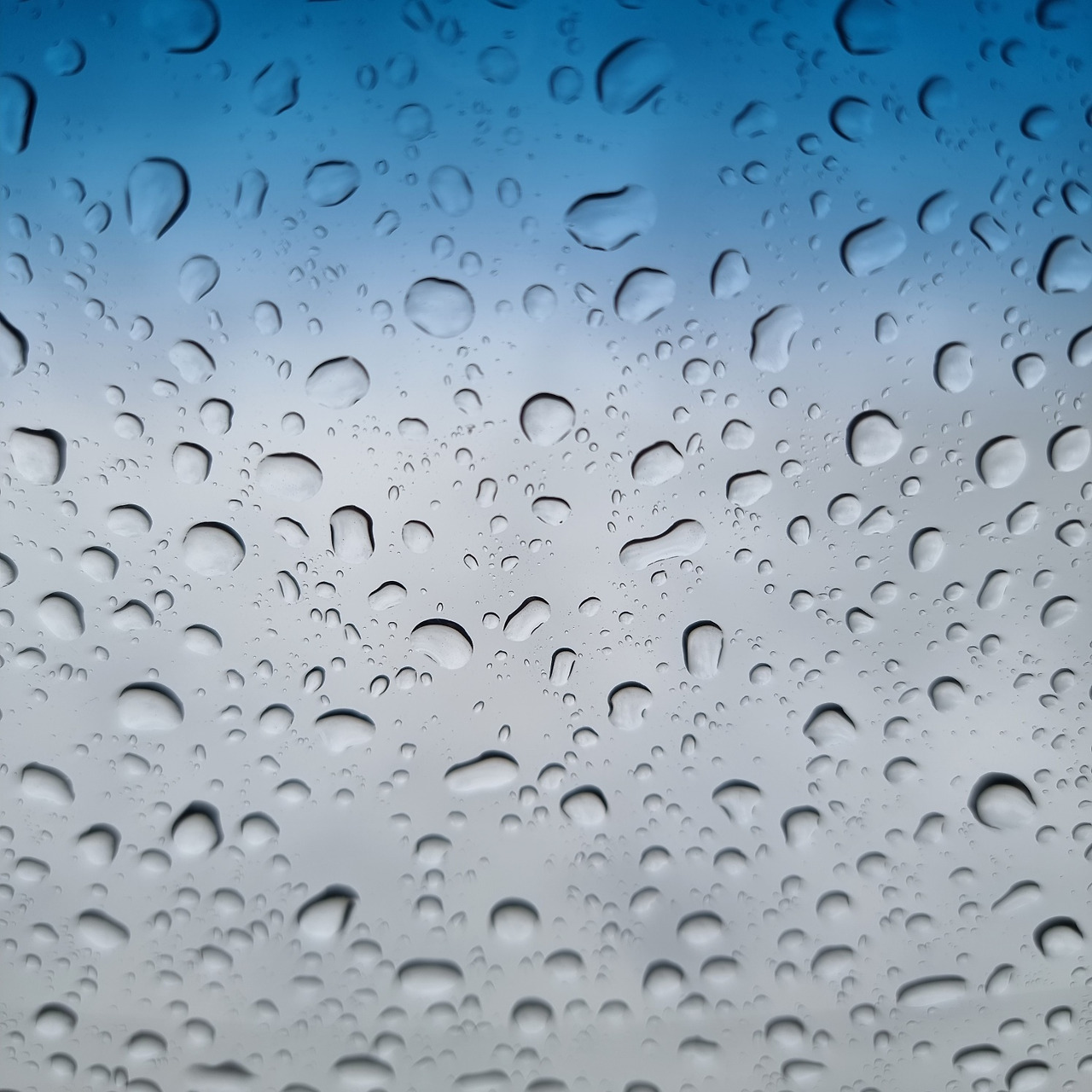 빗방울 차안에서본.jpg