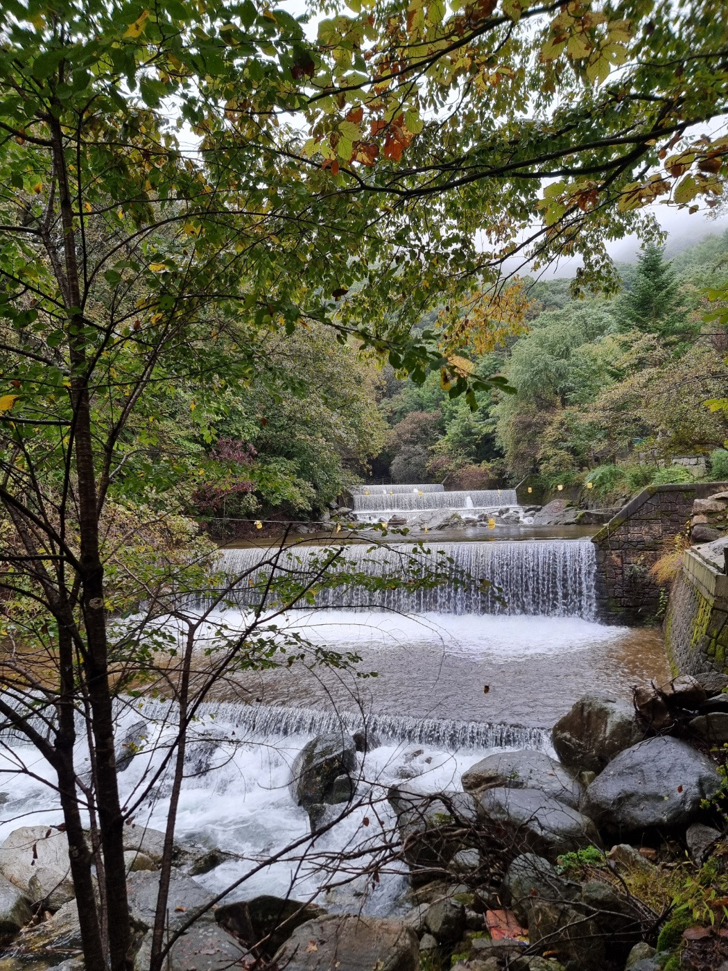 비오는 날의 산책3.jpg