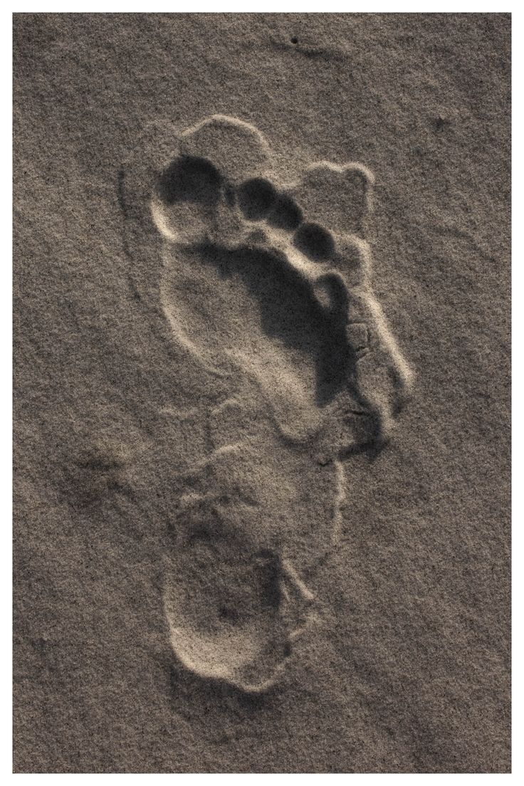 발자국.jpg