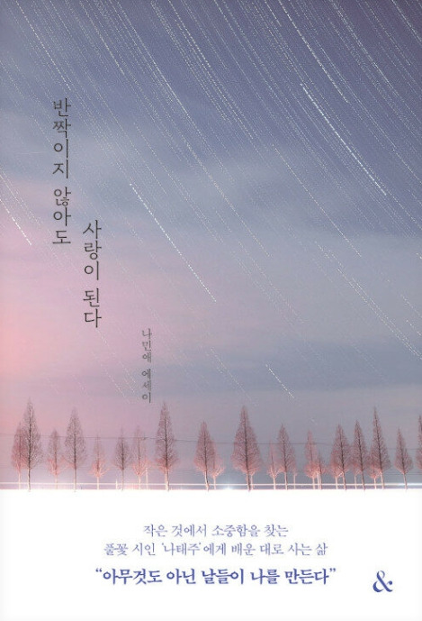 Day 720 - 반짝이지 않아도 사랑이 된다_나민애 저.jpg