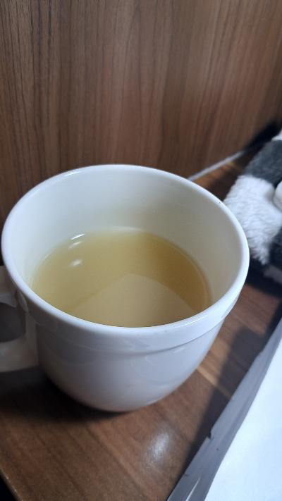 카지노 게임