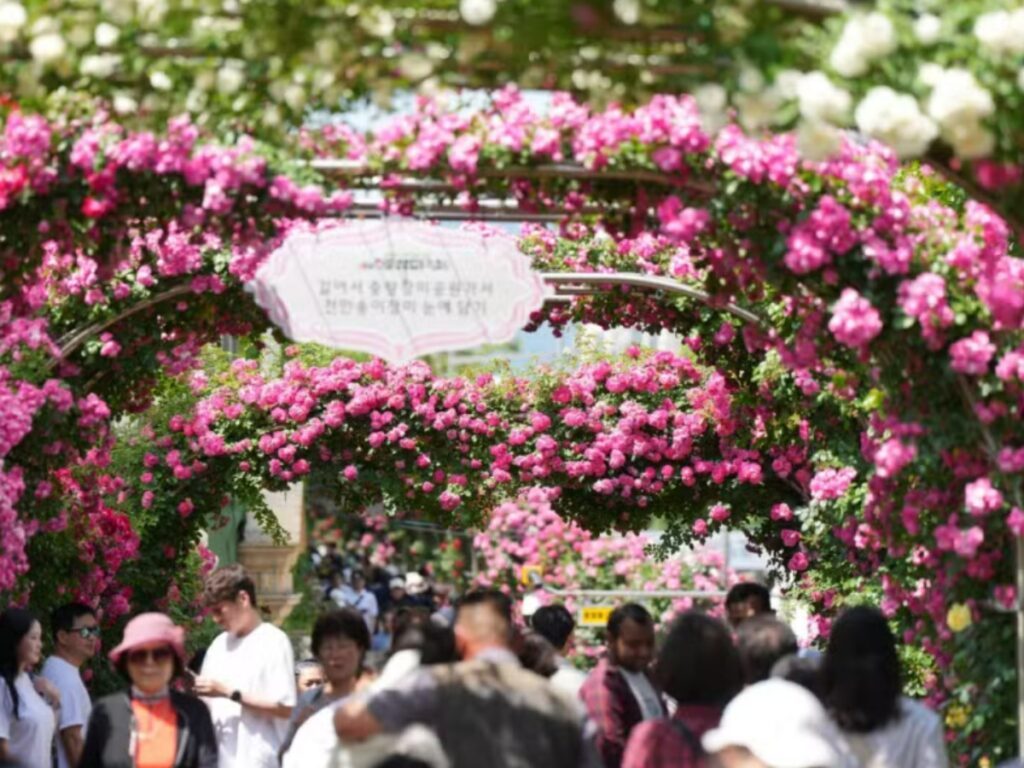 seoul-rose-festival-2025-guide-1-1024x768.jpg
