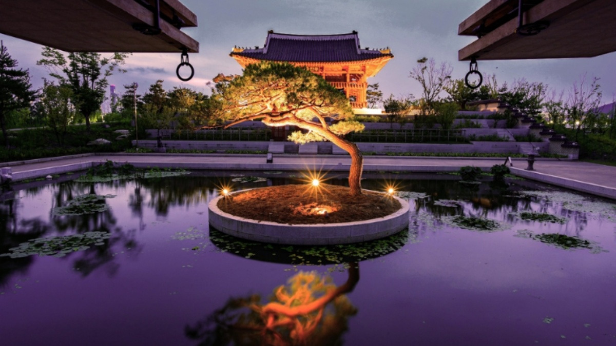 sejong-night-garden.jpg