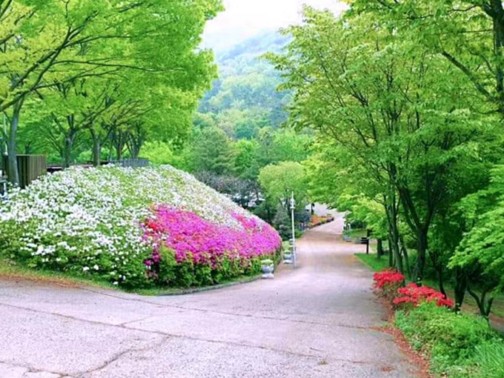 South-Jeolla-Provinces-spring-travel-destination-1024x768.jpg