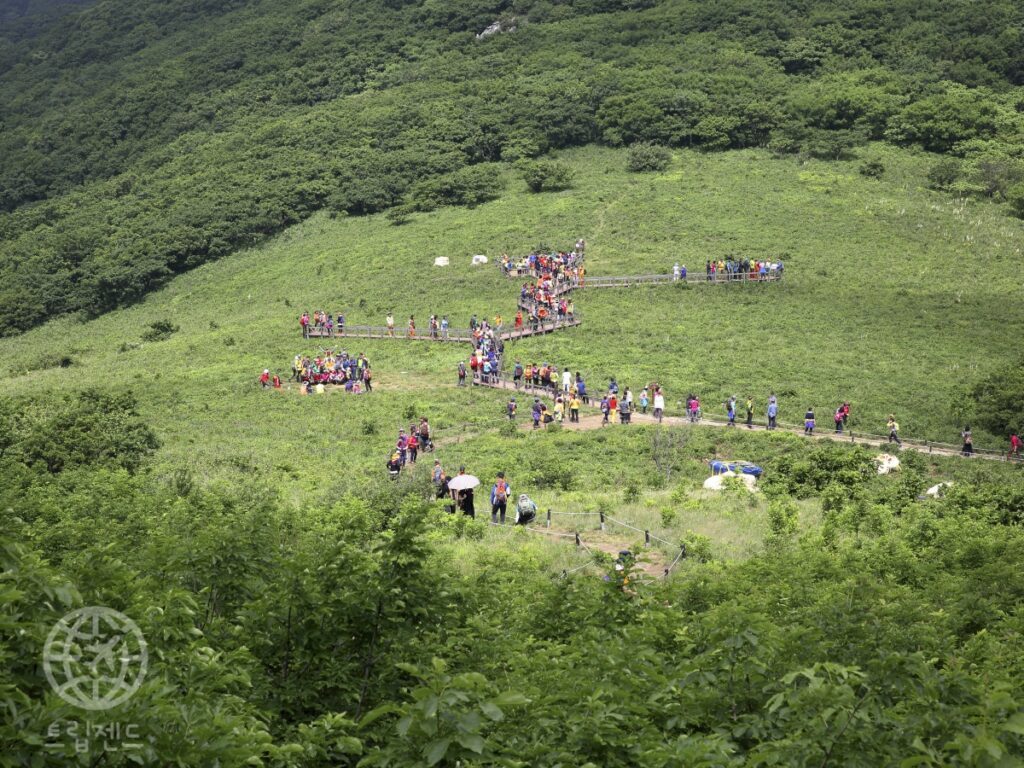 gombaeryeong-hiking-reservation-wildflower-trail-2025-1024x768.jpg