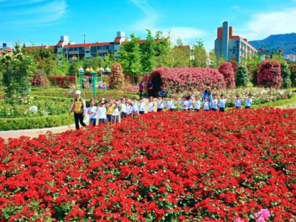 changwon-rose-park-1-1024x768.jpg
