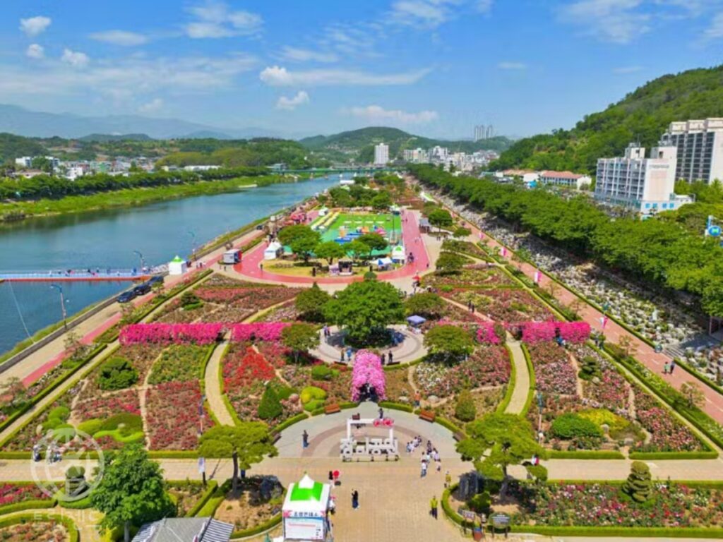 koreas-largest-rose-festival-is-coming-may-festival-with-10-million-roses-1024x768.jpg