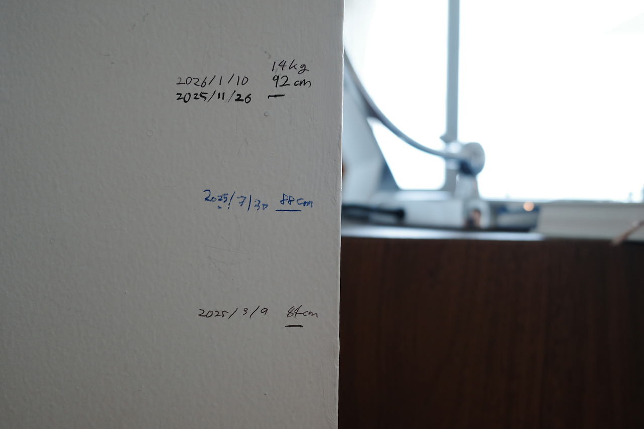 30개월 아기 키몸무게.jpg