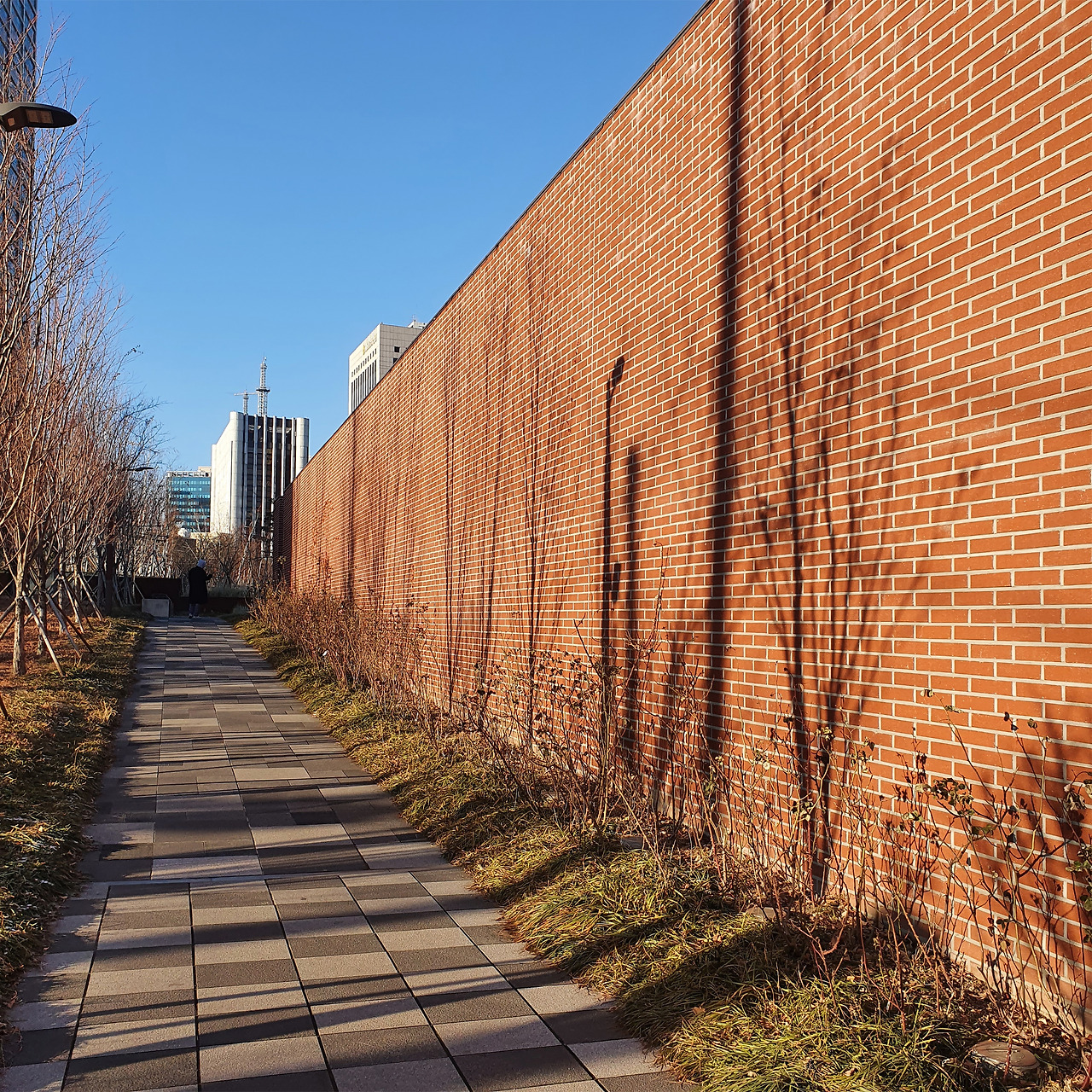 종교적 팔림프세스트