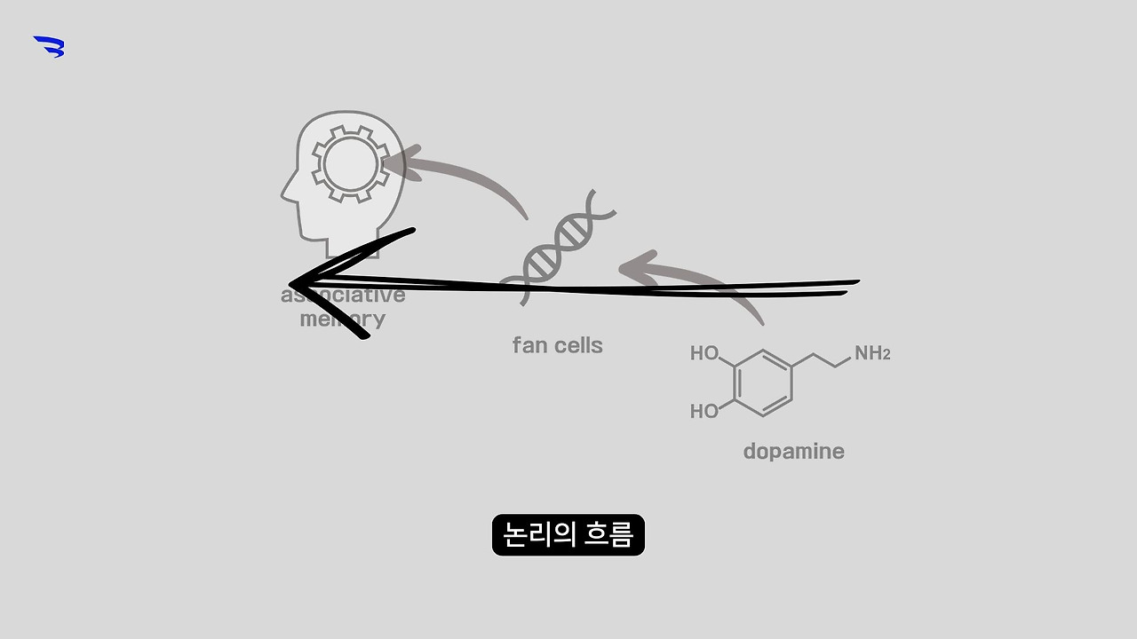 문해력과 SAT지문1.jpg