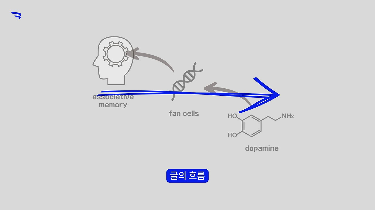 문해력과 SAT지문2.jpg