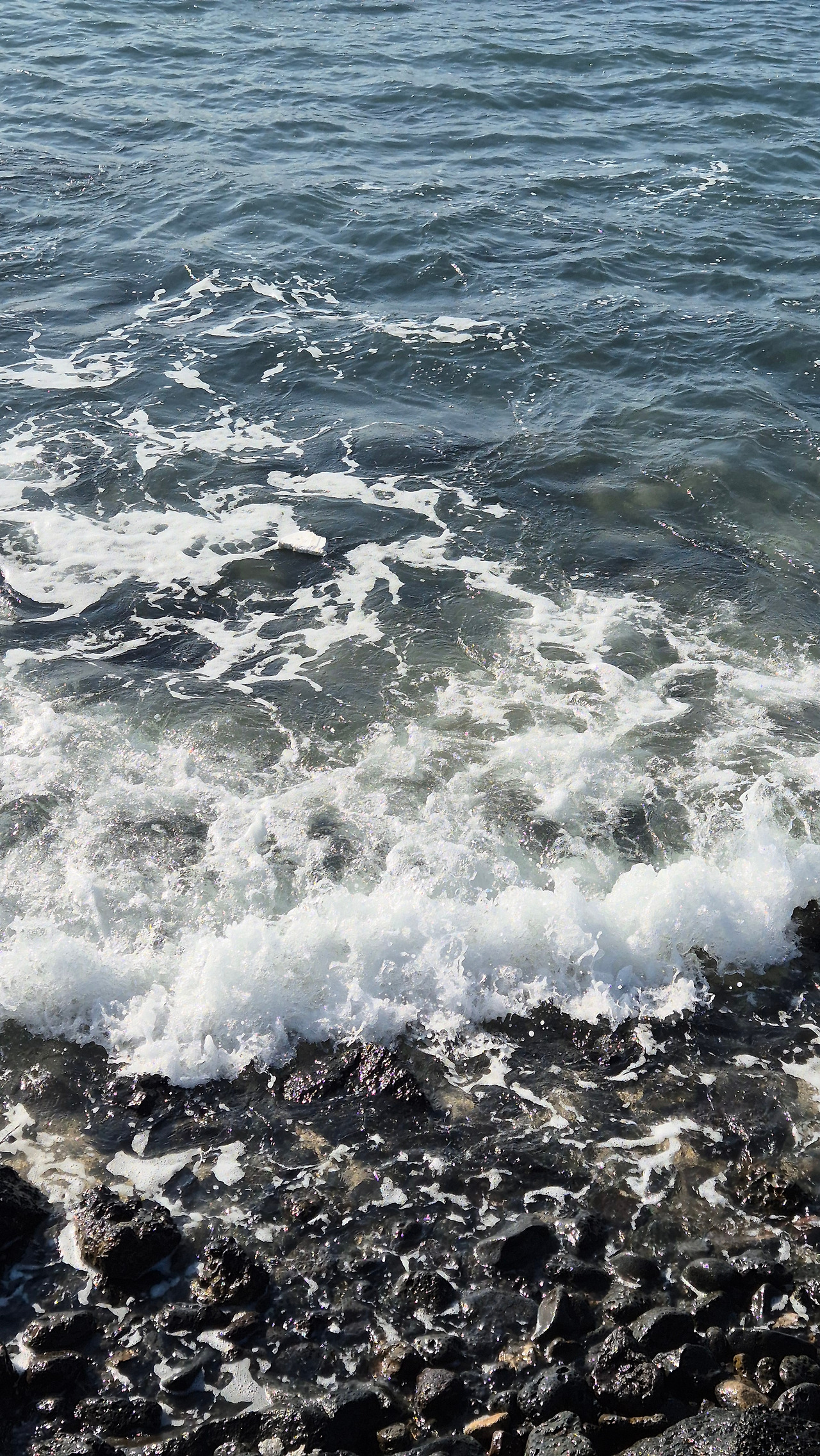 KakaoTalk_20250116_202600175_07 (1).jpg